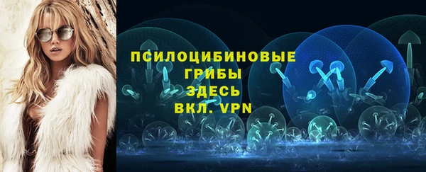 PSILOCYBIN Балабаново